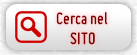 Cerca nel sito